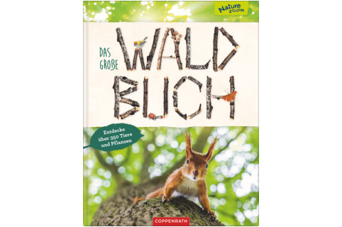Buch Das grosse Waldbuch Baerbel Oftring