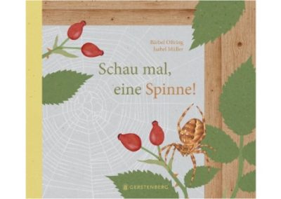 Schau mal eine Spinne – Buch