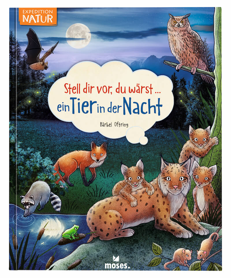 Buch Stell dir vor, du wärst ein Tier in der Nacht