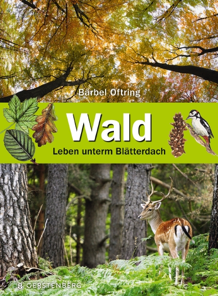 Buch Wald - Leben unterm Blätterdach Bärbel Oftring