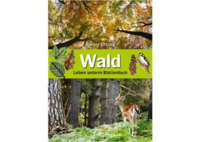 Wald – Leben unterm Blätterdach