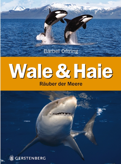 Wale & Haie Baerbel Oftring Buch Wale & Haie Baerbel Oftring