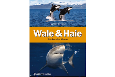 Wale & Haie