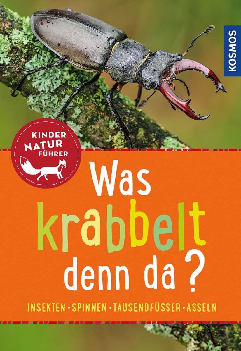 Buch Was krabbelt denn da - Bärbel Oftring