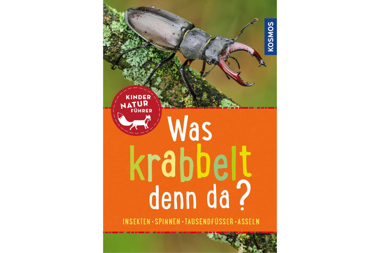 Buch Was krabbelt denn da - Bärbel Oftring