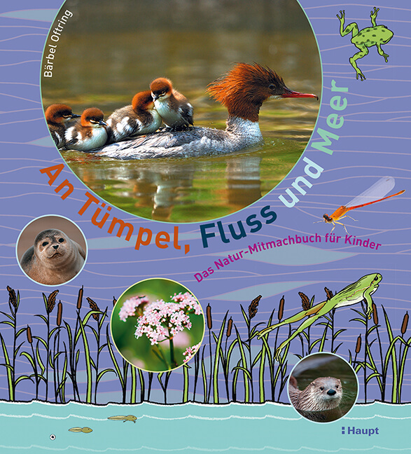 Buchcover An Tümpel, Fluss und Meer von Bärbel Oftring