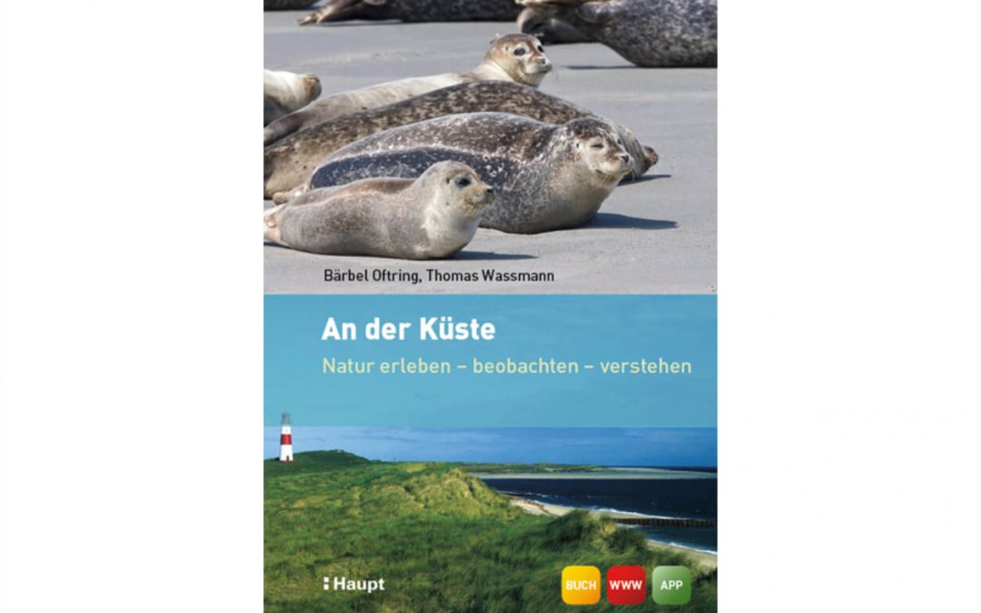 An der Küste