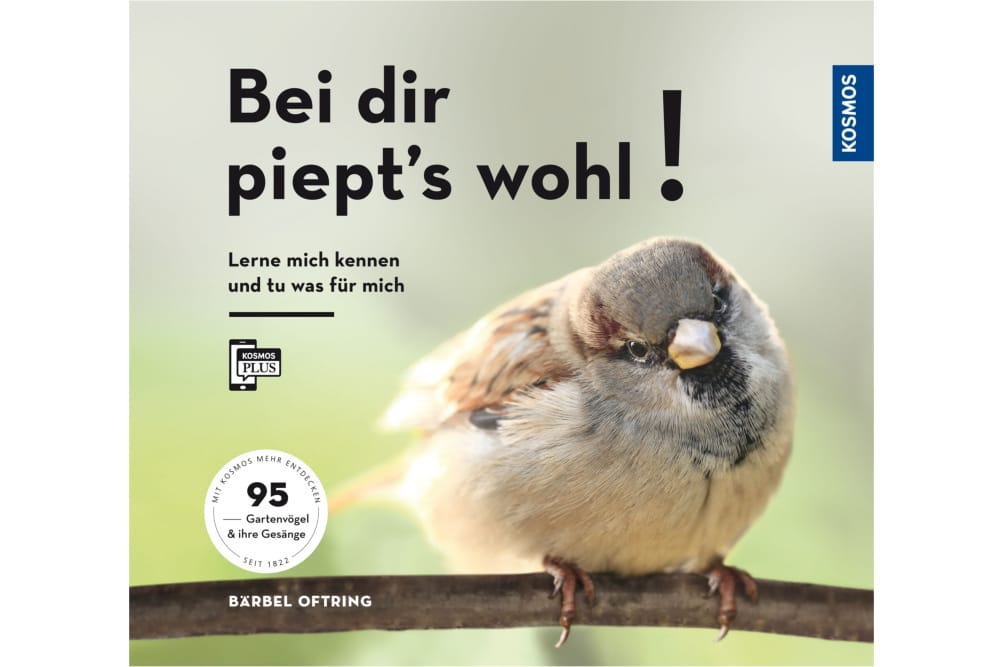 Bei dir piept’s wohl! Buch