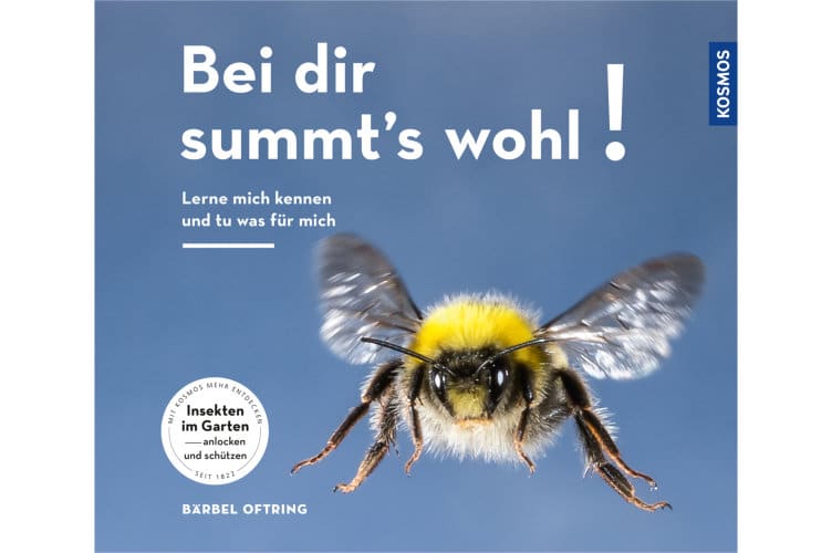 Bei dir summt’s wohl! Buch