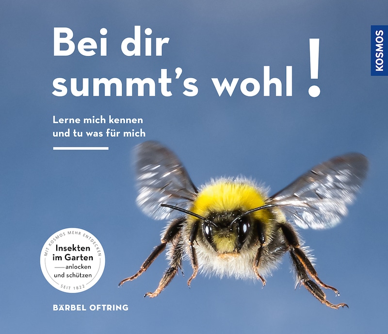 Buchcover Bei dir summts wohl Bärbel Oftring