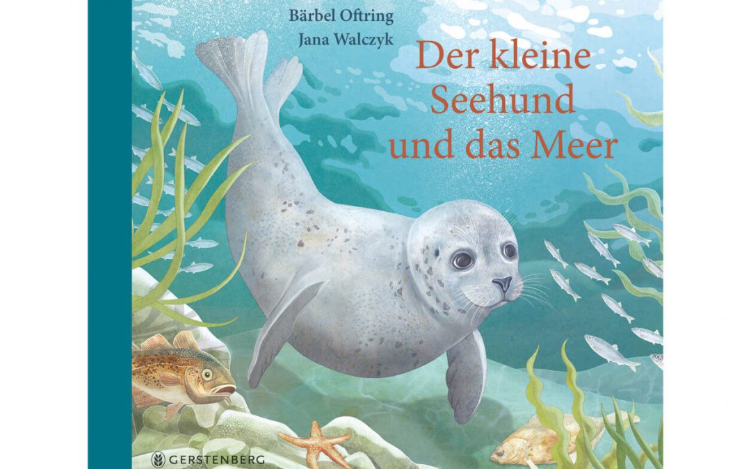 Der kleine Seehund und das Meer – Buch