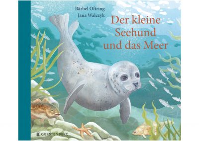 Der kleine Seehund und das Meer – Buch