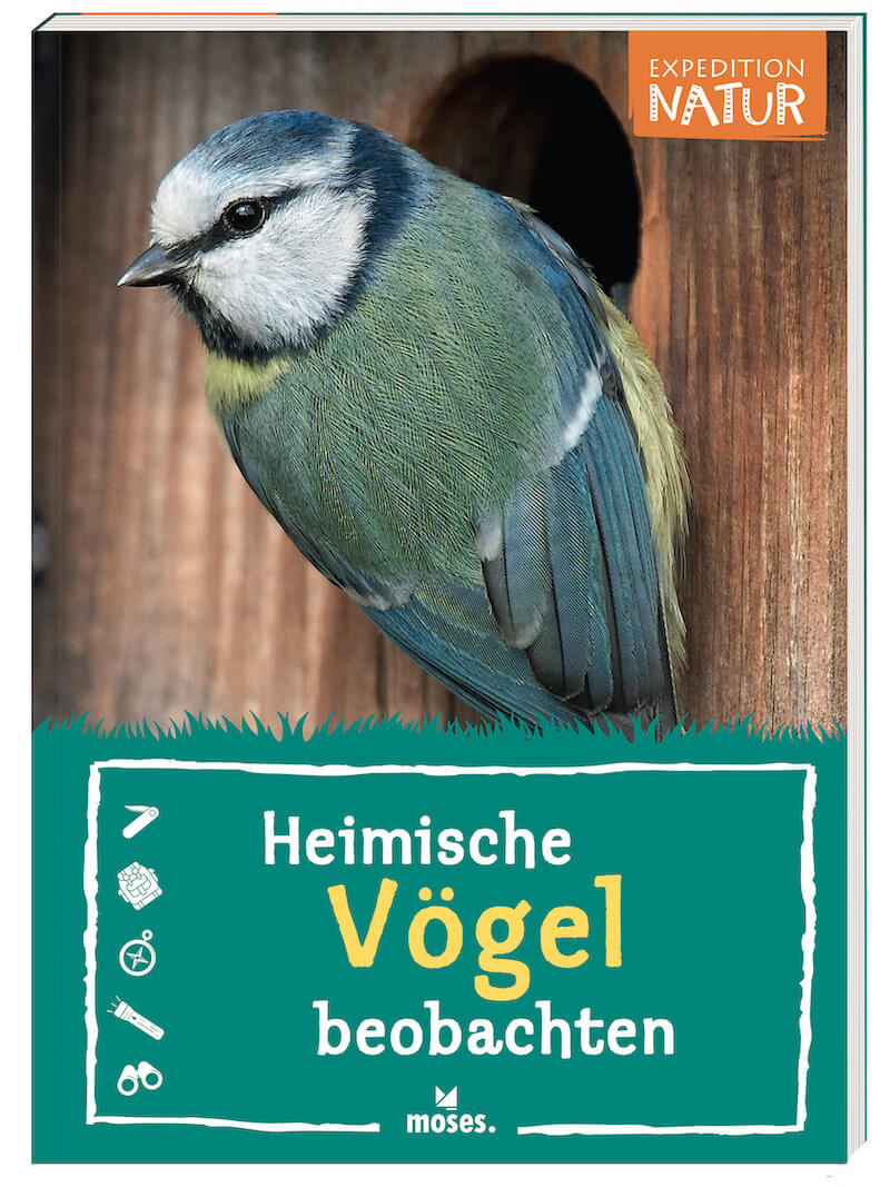 Buchcover Heimische Vögel beobachten Bärbel Oftring