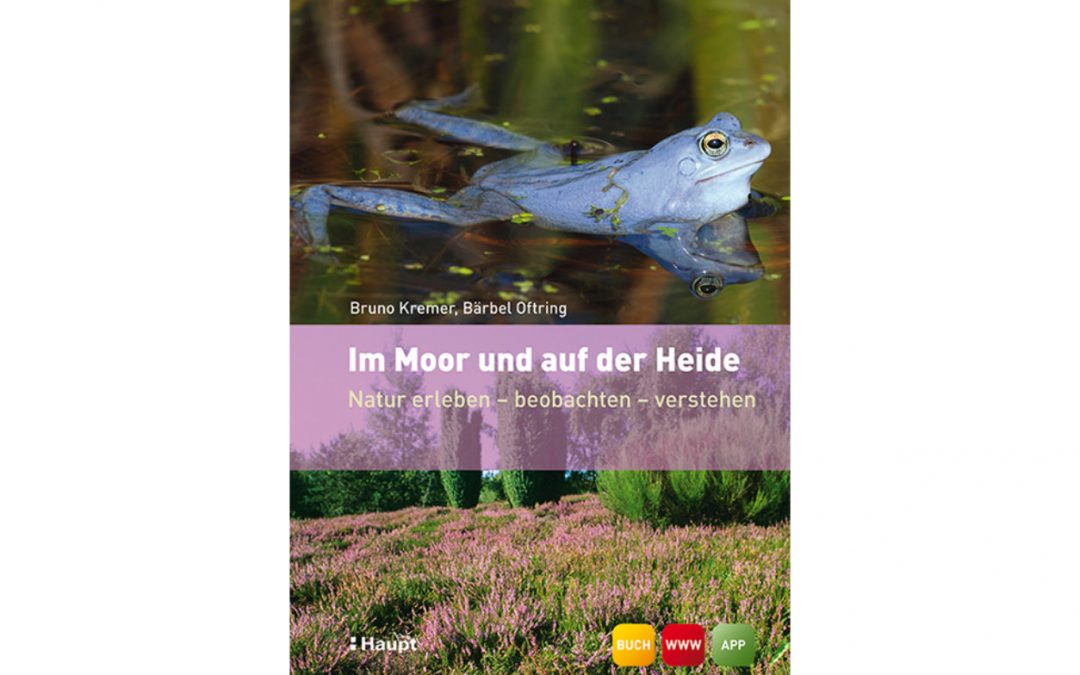 Im Moor und auf der Heide