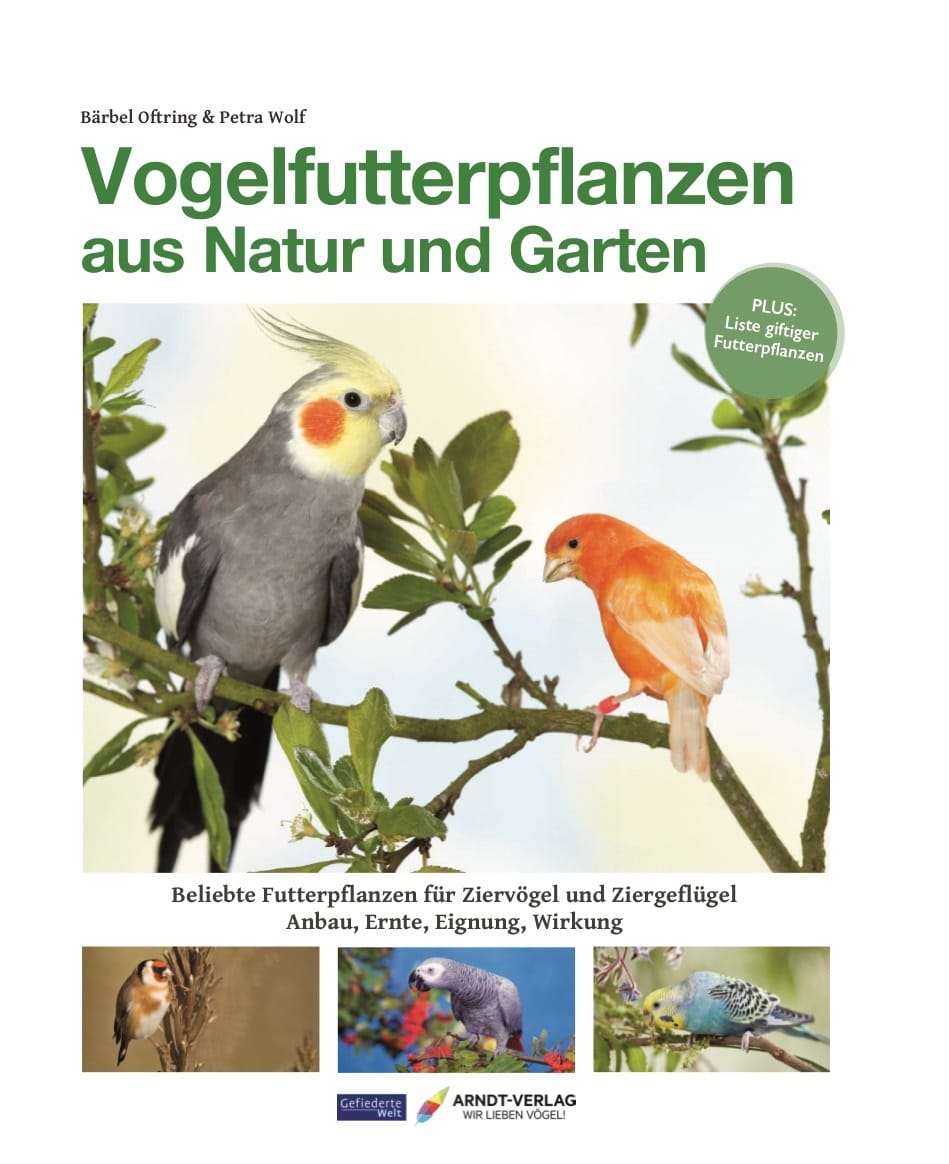 Buchcover Vogelfutterpflanzen aus Natur und Garten Bärbel Oftring