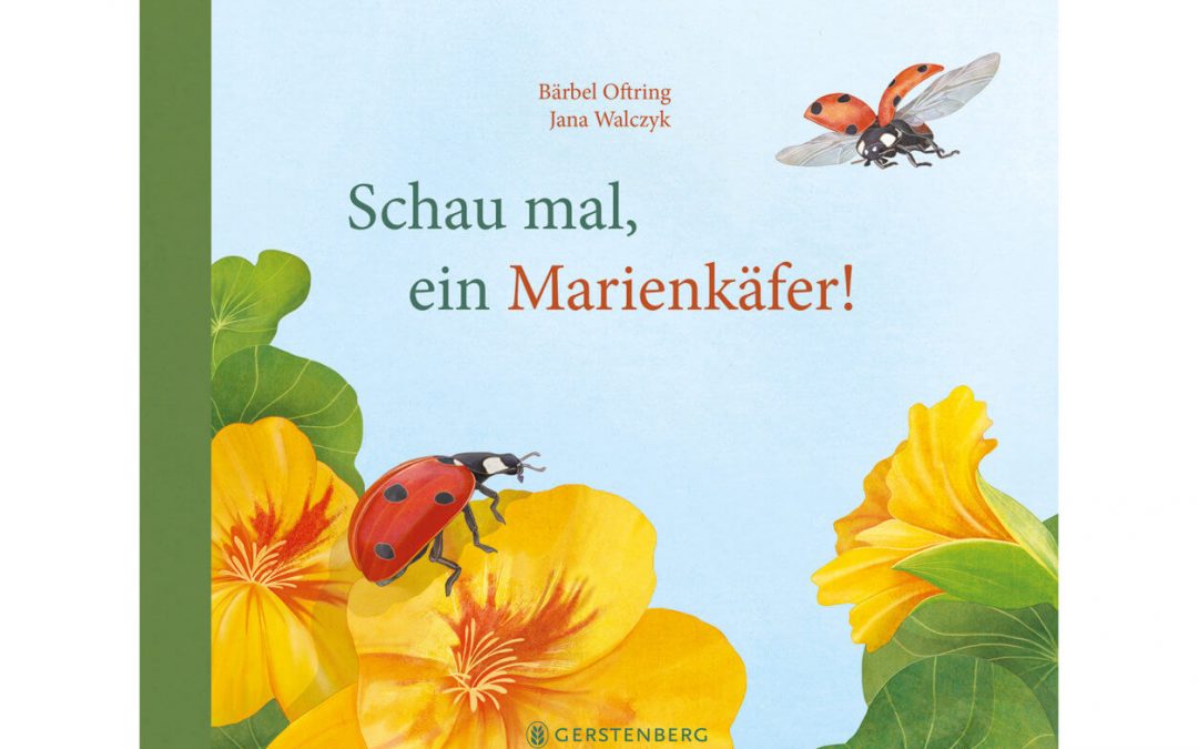 Schau mal, ein Marienkäfer – Buch