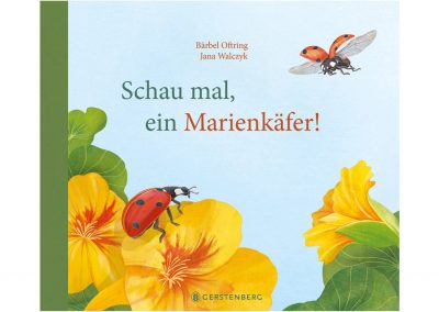 Schau mal, ein Marienkäfer – Buch