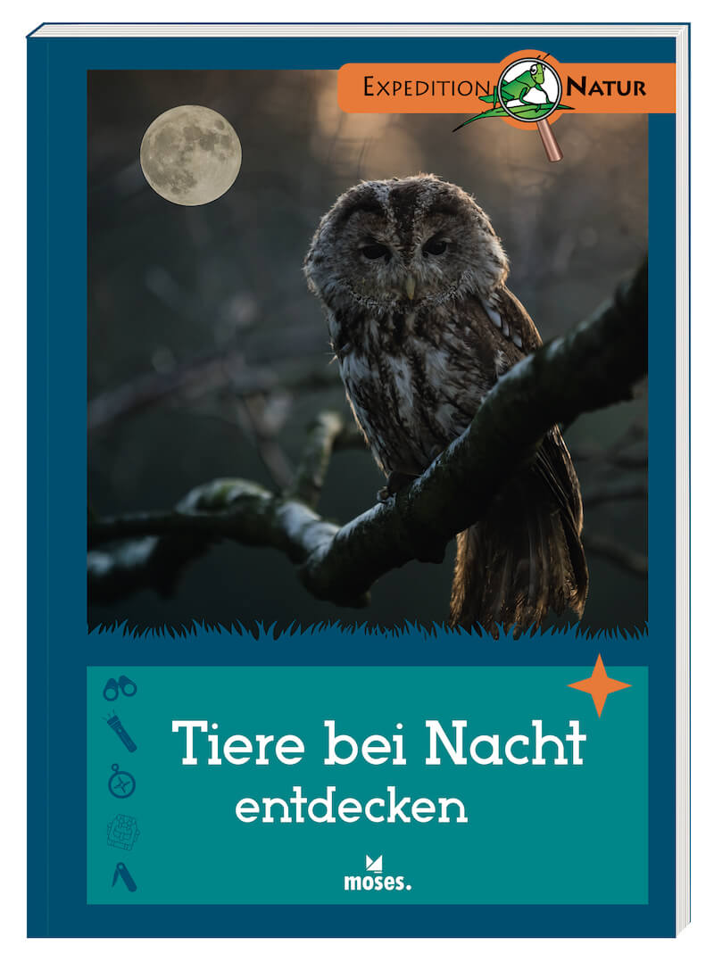 Buchcover Tiere bei Nacht entdecken