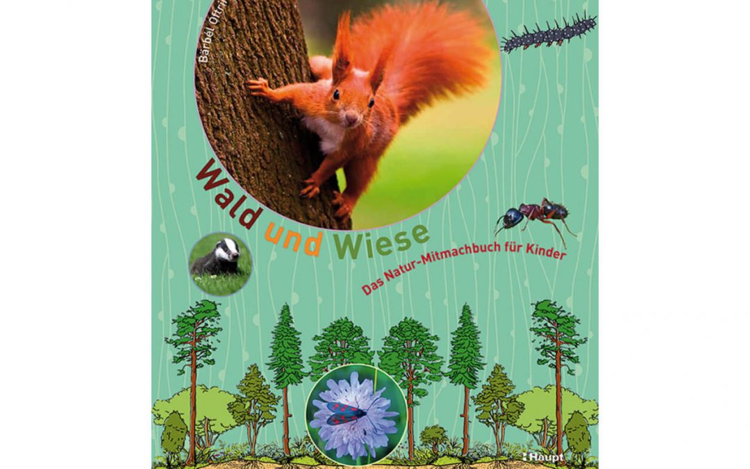 Wald und Wiese – Buch