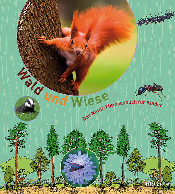 Buchcover Wald und Wiese - Bärbel Oftring