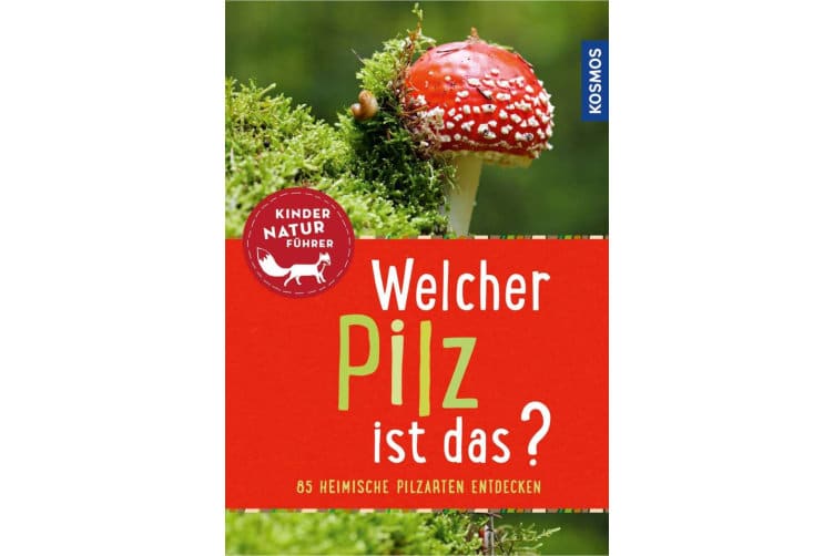 Welcher Pilz ist das? Buch