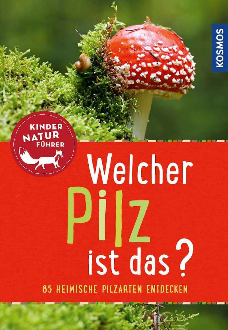 Buchcover Welcher Pilz ist das - Bärbel Oftring