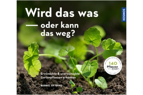 Wird das was oder kann das weg?