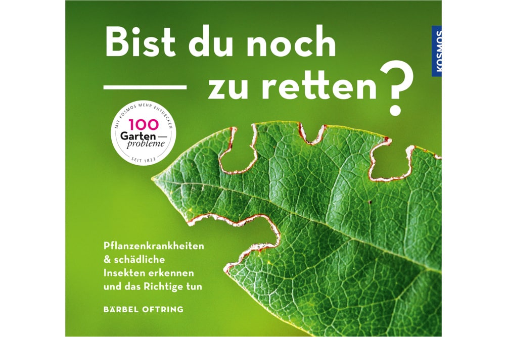 Bist du noch zu retten? Buch