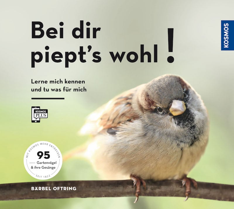 Bei dir piepts wohl - Bärbel Oftring