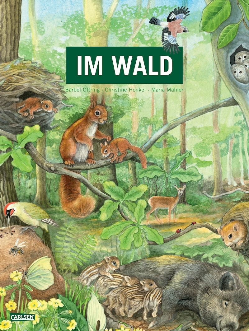 Im Wald - Jugendsachbuch mit überdimensionalen Doppelseiten 