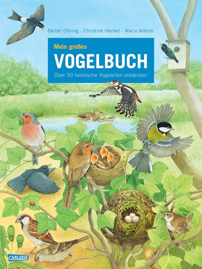Mein großes VOGELBUCH - 50 heimische Vogelarten entdecken
