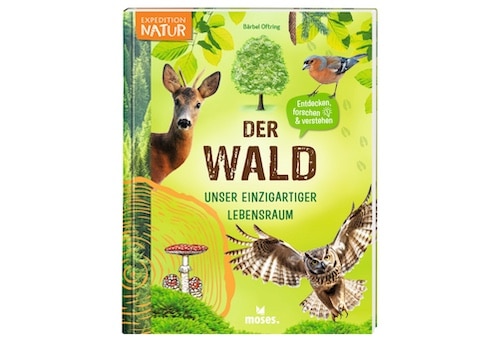 Der Wald – unser einzigartiger Lebensraum