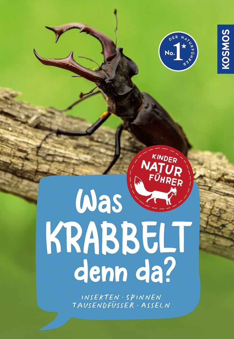 Was krabbelt denn da? Insekten, Spinnen, Asseln