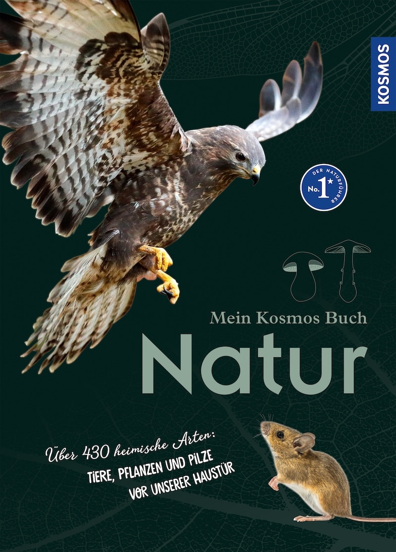 Mein Kosmos Buch Natur - Über 464 heimische Arten: Tiere, Pflanzen und Pilze vor unserer Haustür 