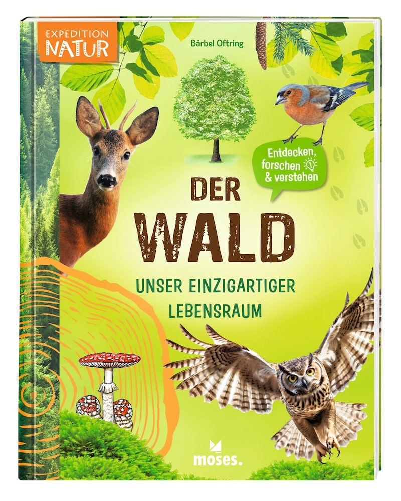 Der Wald - unser einzigartiger Lebensraum - Buch von Bärbel Oftring