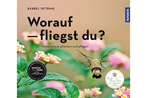 Worauf fliegst du