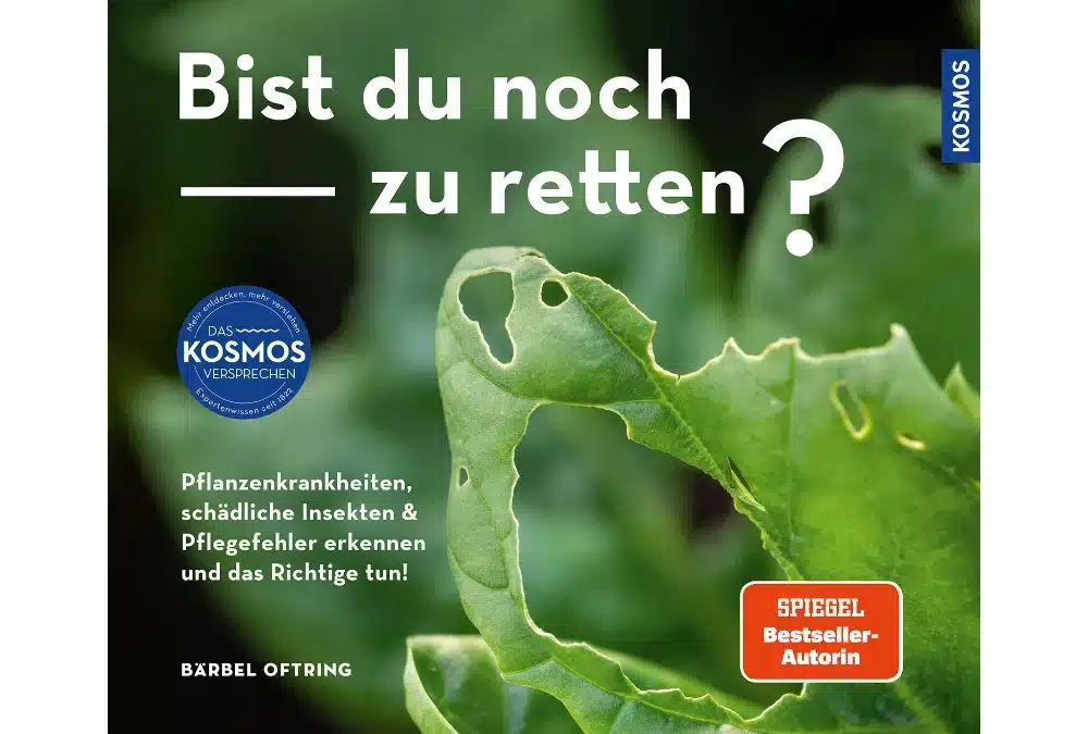 Bist du noch zu retten?