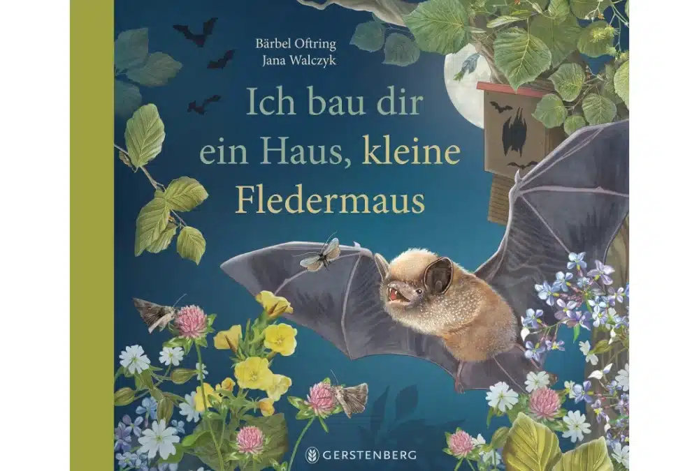 Ich bau dir ein Haus, kleine Fledermaus
