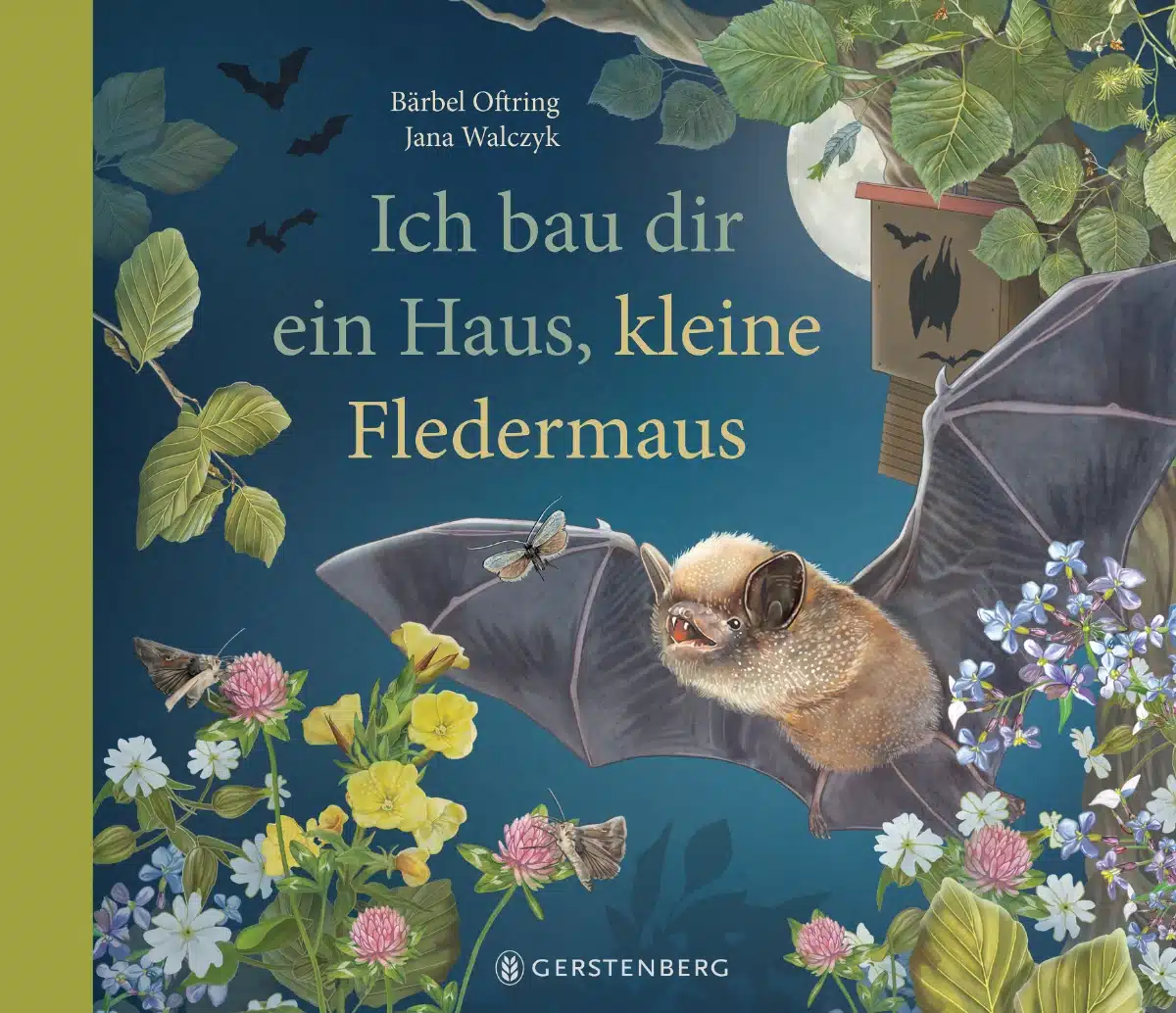 Kinderbuch "Ich bau dir ein Haus, kleine Fledermaus" von Bärbel Oftring und Jana Walczyk, Verlag Gerstenberg 2025 Buchcover "Ich bau dir ein Haus, kleine Fledermaus" von Bärbel Oftring und Jana Walczyk